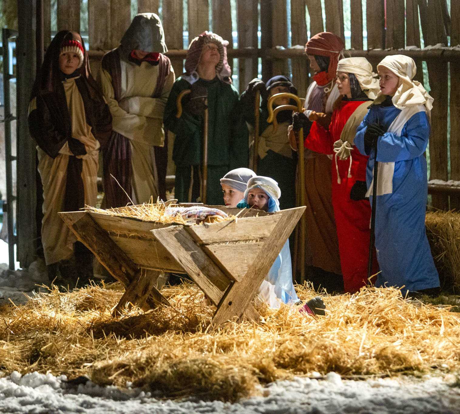 Albion live nativity